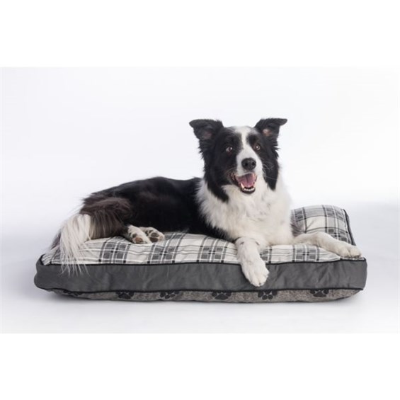 mypillow dog bed stores