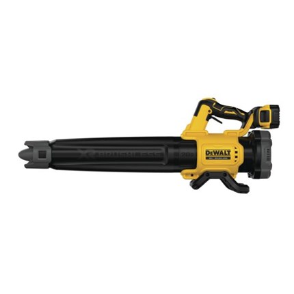 20V MAX XR Brushless Handheld Blower | Choose-Your-Gift