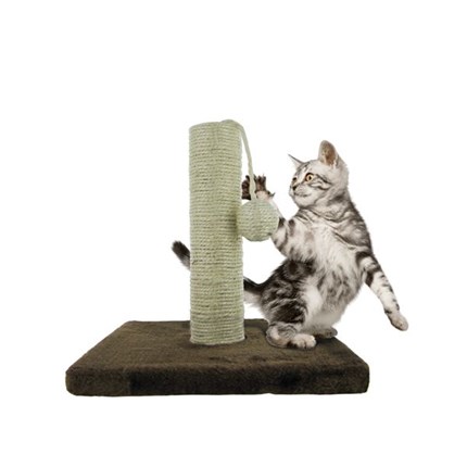 10 In. Cat Scratch & Play Post | Choose-Your-Gift